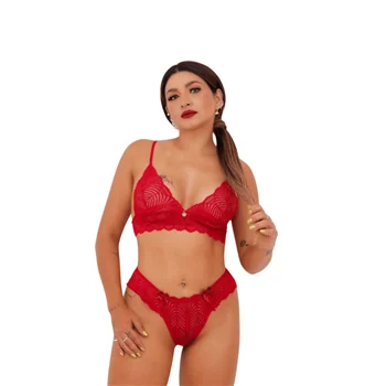 Conjunto Lingerie Anna Paula Tallyta – Sensual e Elegante - Imagem 6