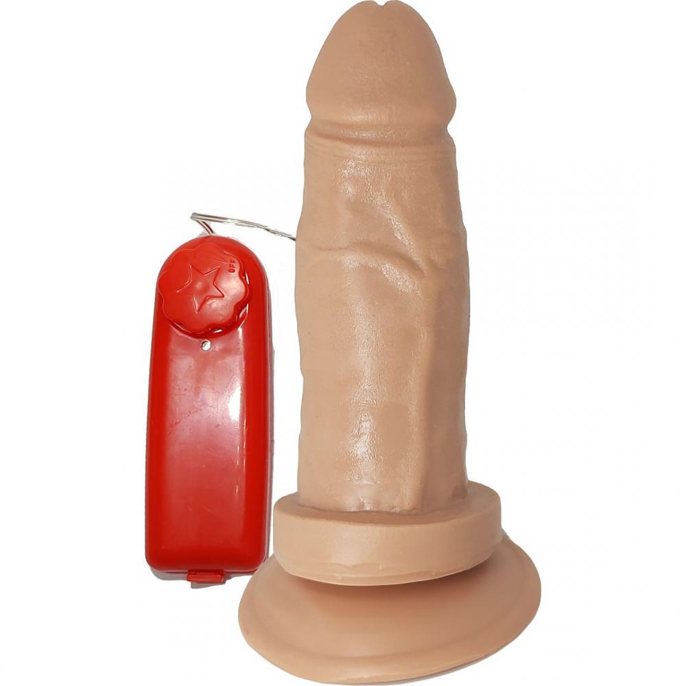Pênis Realístico com Vibrador Bullet e Ventosa 13,5x3,9cm - Delicadeza e Poder da Prazer e Cia