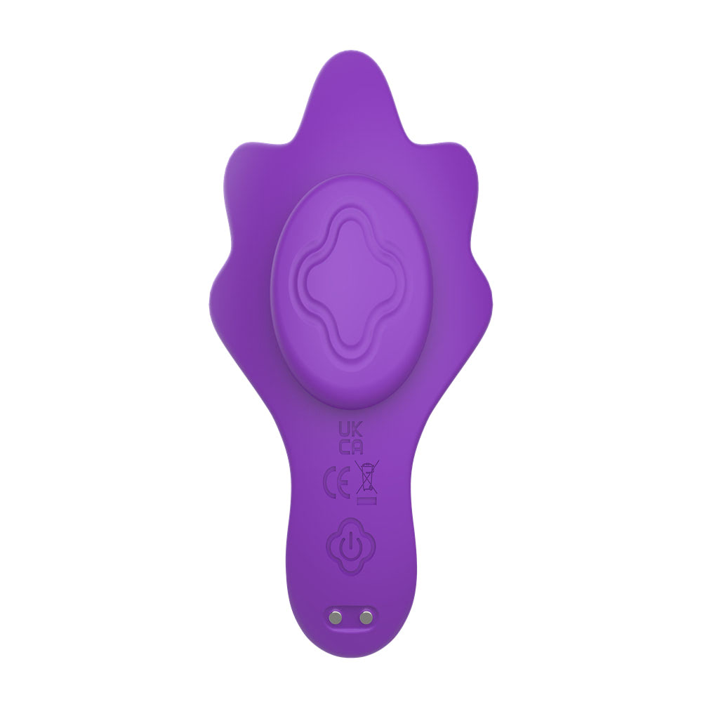 Vibrador de Calcinha Recarregável 9 Modos com Controle Remoto - Imagem 2