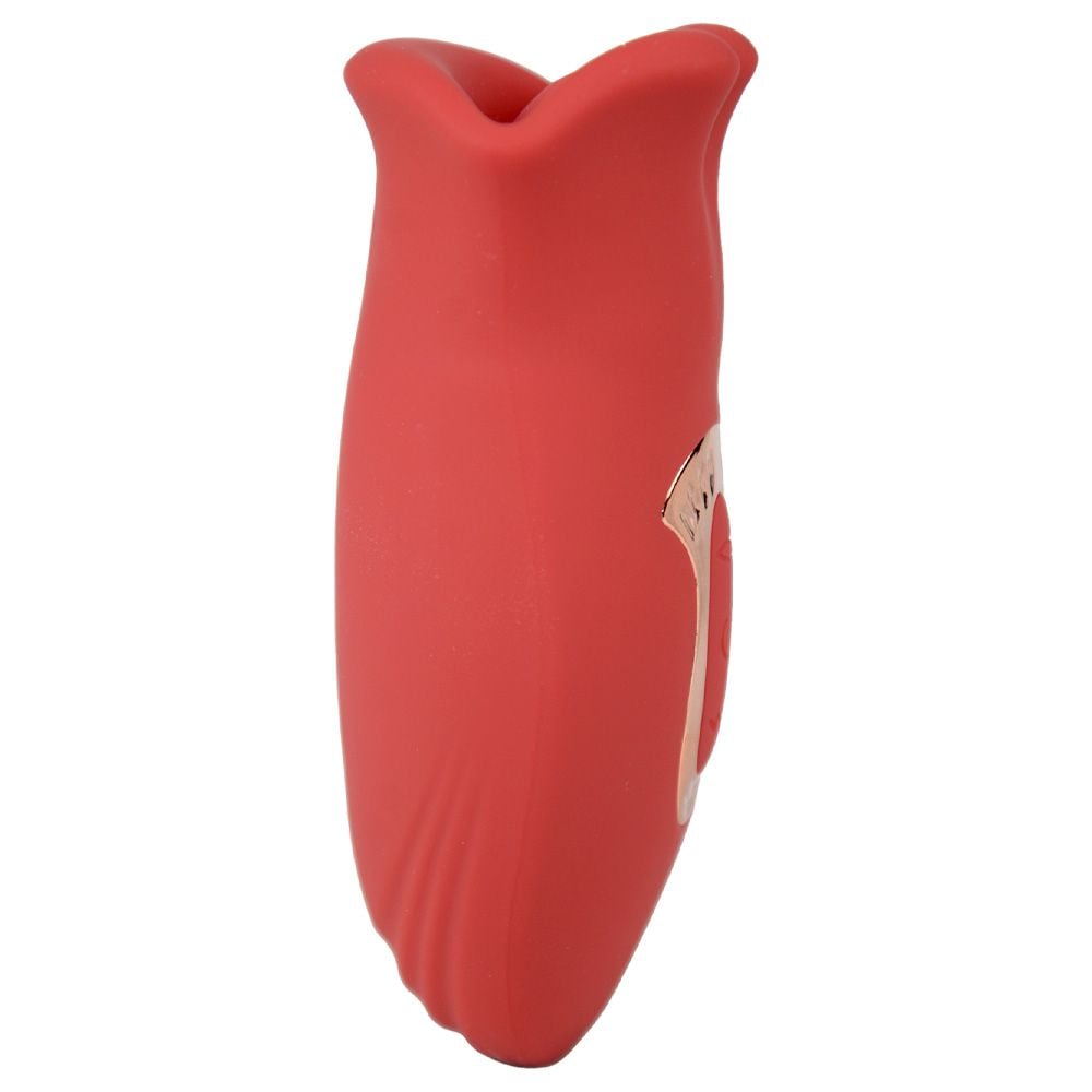 Vibrador em Formato de Boca Yaffa 20 Modos Recarregável USB - Imagem 4